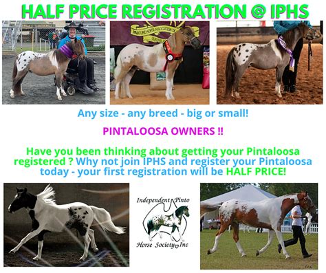 pinatlooted|Pintaloosa registration with IPHS .